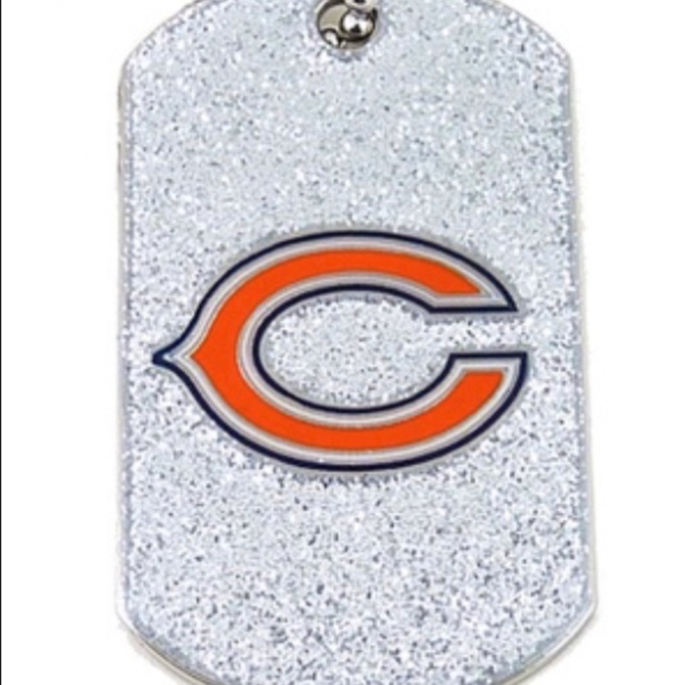 NFL Glitter Dog tag 24inch necklace each $12